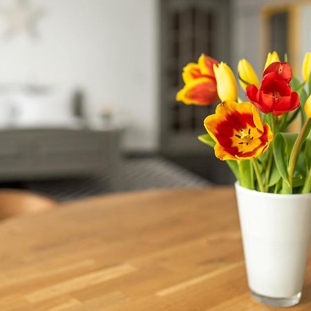 קלוז'-נאפוקה Spacious Ultracentral Apartment מראה חיצוני תמונה